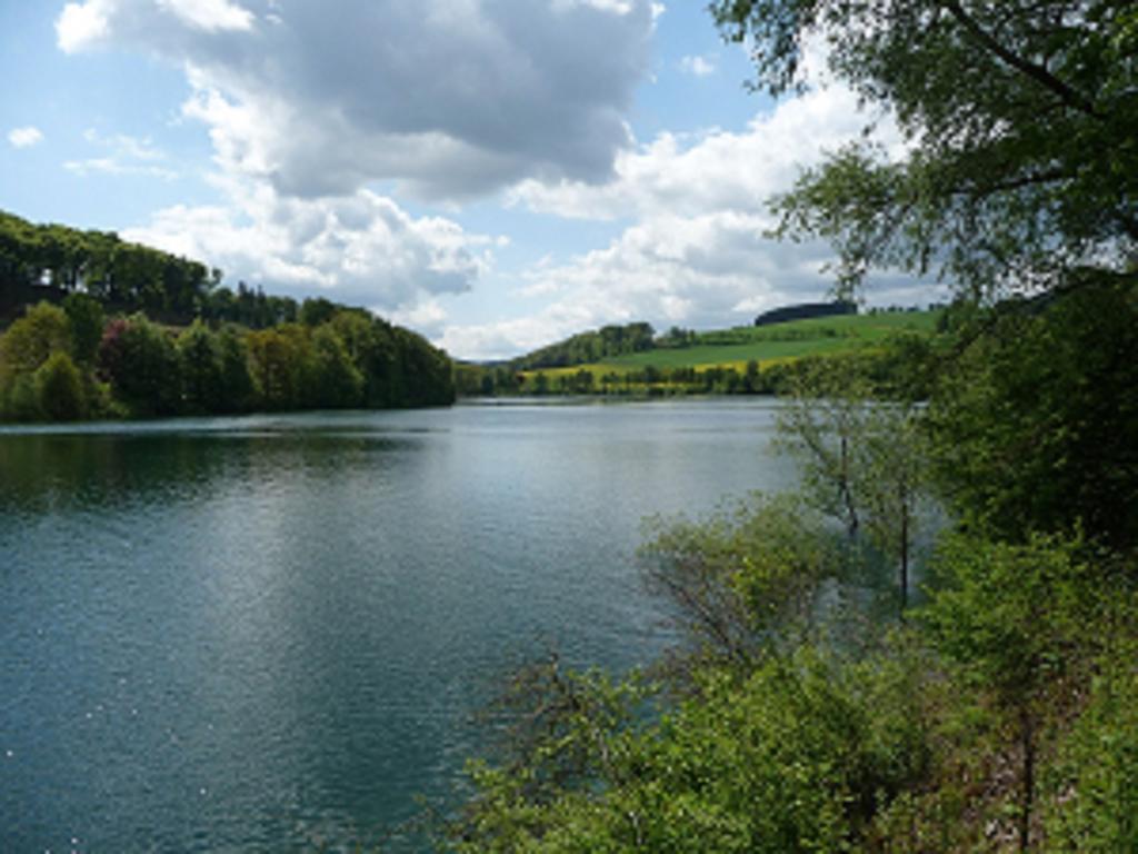 Haus Oberkirchen Naehe Winterberg Skiliftkarussell سشمالنبرغ الغرفة الصورة
