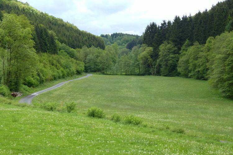 Haus Oberkirchen Naehe Winterberg Skiliftkarussell سشمالنبرغ المظهر الخارجي الصورة